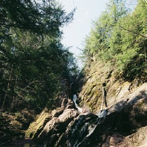 /Albums/14/449952 R1 01 24