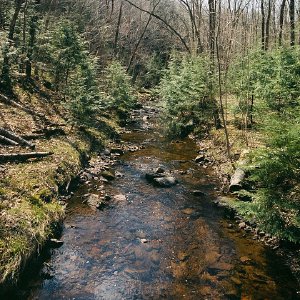 /Albums/14/449952 R1 03 22