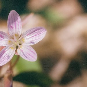 /Albums/14/449952 R1 05 20