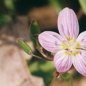 /Albums/14/449952 R1 06 19