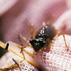 /Albums/14/449952 R1 09 16