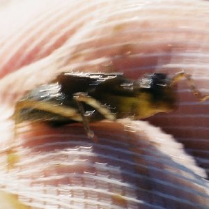 /Albums/14/449952 R1 11 14