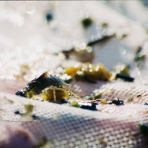 /Albums/14/449952 R1 12 13