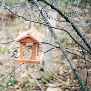 /Albums/14/449952 R1 20 5