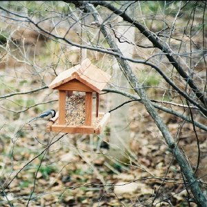 /Albums/14/449952 R1 21 4