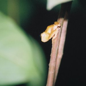 /Albums/14/449953 R1 26 10