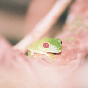 /Albums/14/449953 R1 29 7