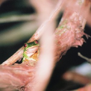 /Albums/14/449953 R1 30 6