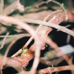 /Albums/14/449953 R1 31 5