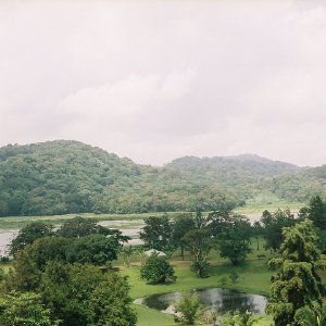 /Albums/14/449953 R1 33 3