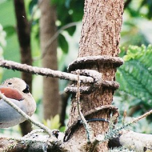 /Albums/14/993098 R1 00 37a