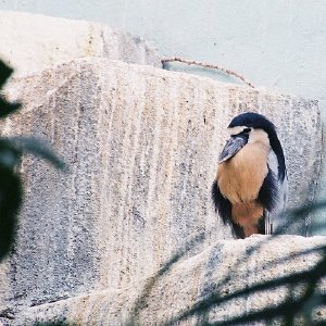 /Albums/14/993098 R1 02 35a