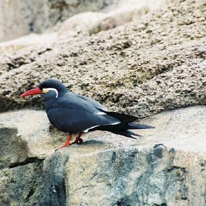 /Albums/14/993098 R1 03 34a