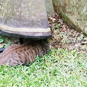 /Albums/14/993433 R2 30 30a