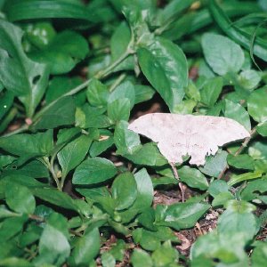 /Albums/14/993433 R2 31 31a