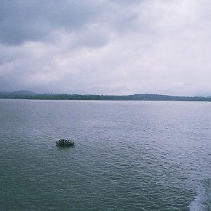 /Albums/14/993433 R2 34 34a