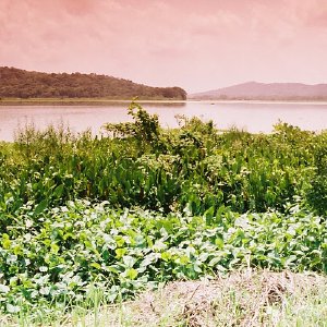 /Albums/14/993433 R3 00 0a