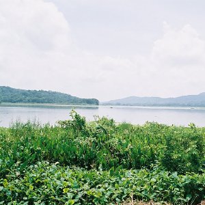 /Albums/14/993433 R3 01 1a