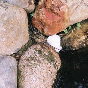 /Albums/14/993433 R3 07 7a