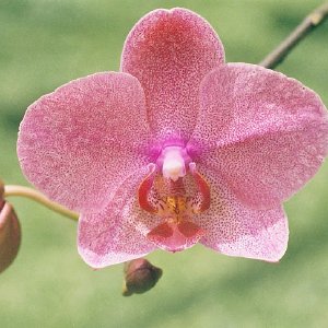 /Albums/14/993433 R3 10 10a