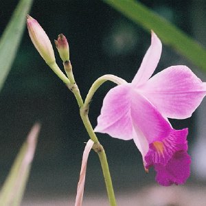 /Albums/14/993433 R3 14 14a