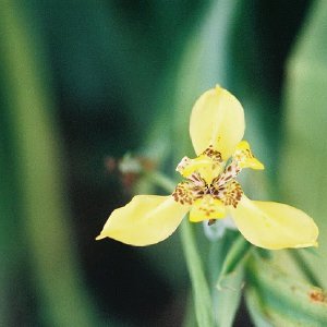 /Albums/14/993433 R3 16 16a