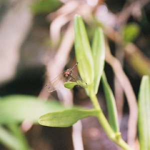 /Albums/14/993433 R3 17 17a