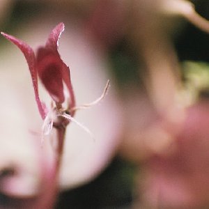 /Albums/14/993433 R3 18 18a