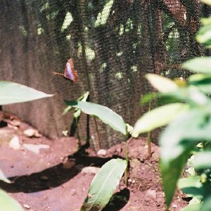 /Albums/14/993433 R3 19 19a