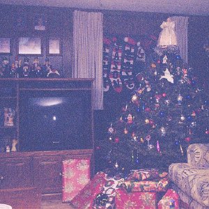 /Albums/15/Pr00001063803