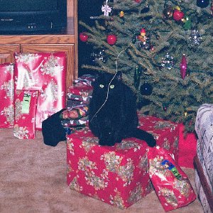 /Albums/15/Pr00001063805