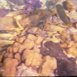 /Albums/15/Pr000010638102