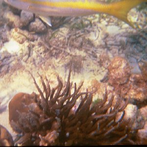 /Albums/15/Pr000010638103