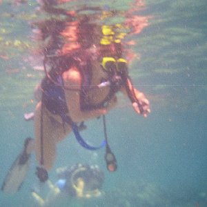 /Albums/15/Pr000010638104