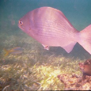 /Albums/15/Pr000010638105