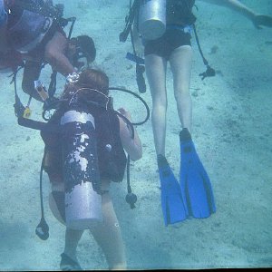 /Albums/15/Pr000010638112