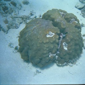 /Albums/15/Pr000010638113