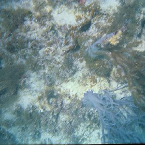 /Albums/15/Pr000010638115