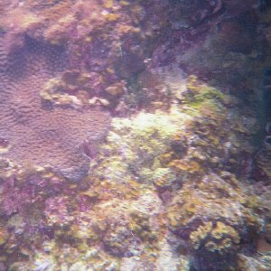 /Albums/15/Pr000010638116