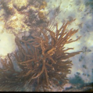 /Albums/15/Pr000010638121