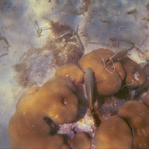 /Albums/15/Pr000010638122