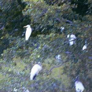 /Albums/15/Pr00001063822