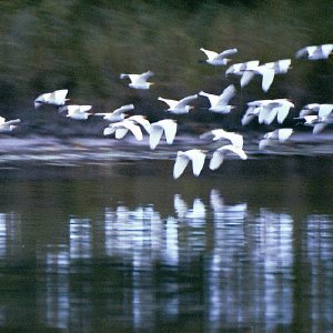 /Albums/15/Pr00001063826