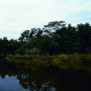 /Albums/15/Pr00001063827