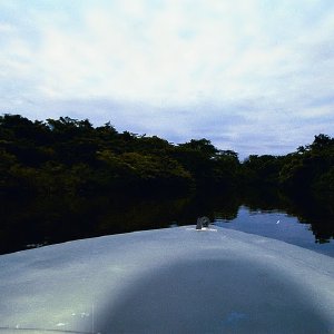 /Albums/15/Pr00001063828