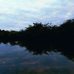 /Albums/15/Pr00001063829