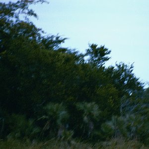 /Albums/15/Pr00001063831