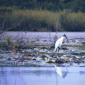 /Albums/15/Pr00001063832