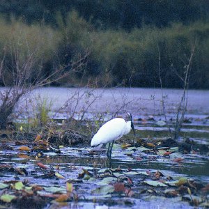 /Albums/15/Pr00001063833