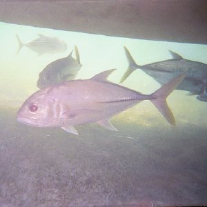 /Albums/15/Pr00001063834